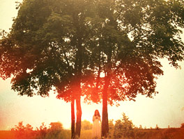 手机号轰炸服务