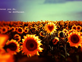 24小时不停呼叫软件